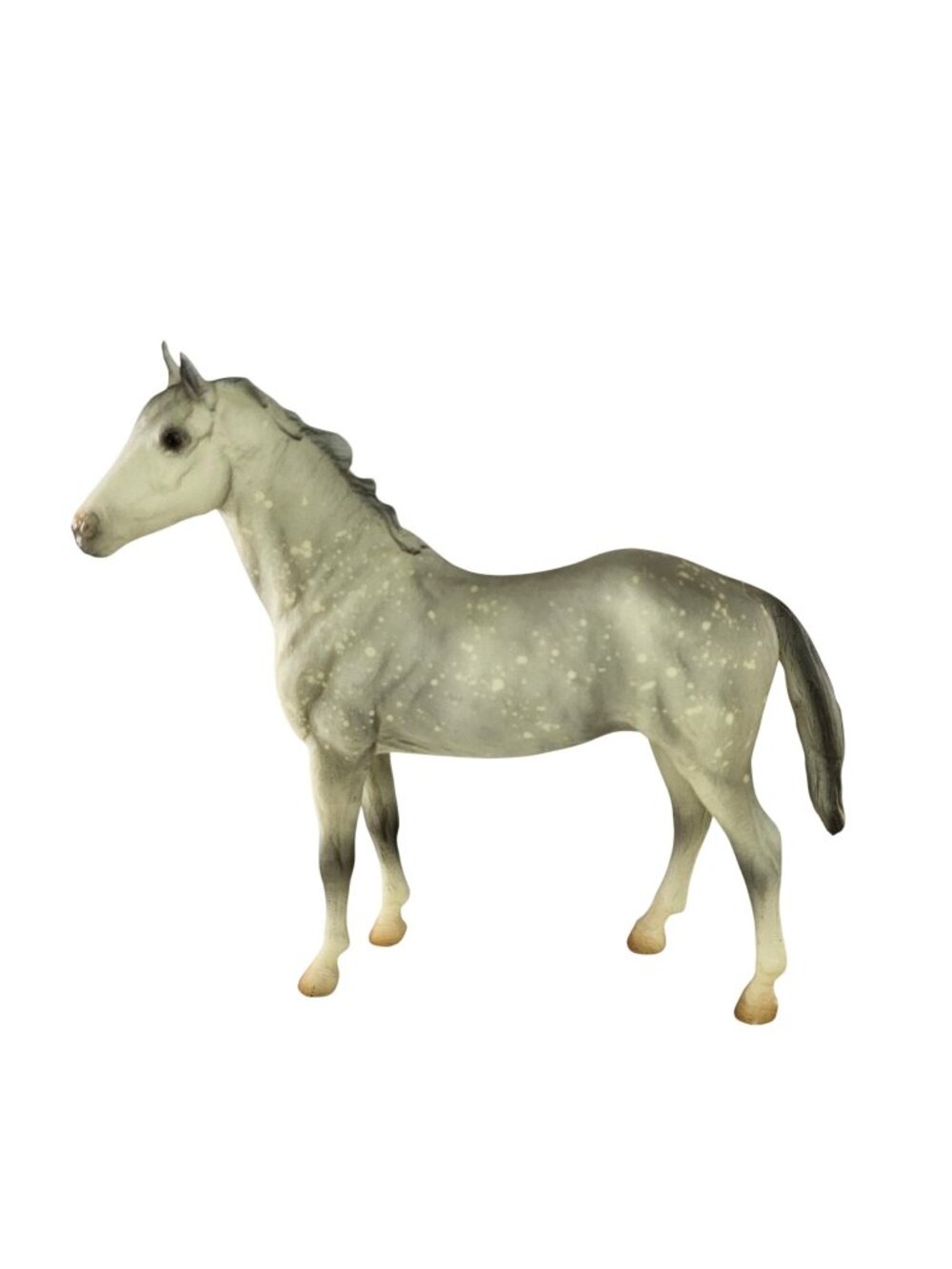 Breyer Horse Duchess Mold From Trakehner Family Dappled Gray #3347 Classic Model